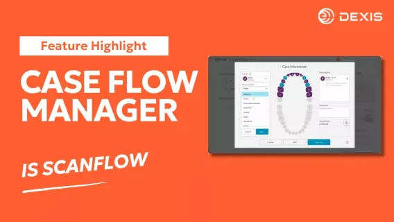 CaseFlow Manager